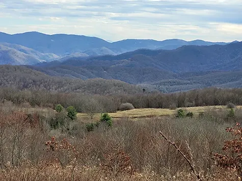 llama trek near Max Patch